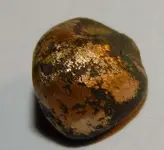 DSCN0551.webp