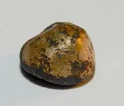 DSCN0543.webp
