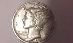 37 Rosie.webp 37 Rosie.webp