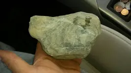 1433531544278.webp