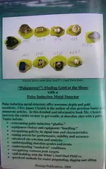 Pulsepower cover B ebay.webp