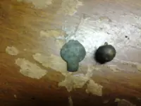 20150605_160105.webp