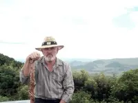 fossis.webp