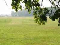 test2 (Small).webp