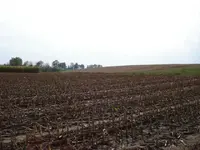 DSC01260.webp