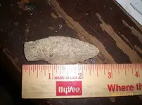 CIMG1413.webp