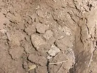 69 cal  in dirt.webp