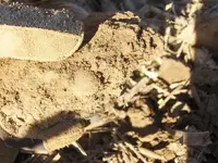 Round Ball In Dirt.webp