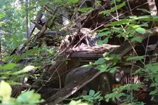 007_7b.webp