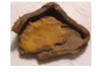 mud pie.webp