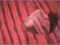 tiger eye.webp