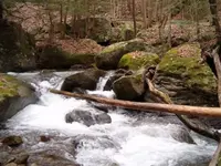 HPIM0190.webp