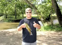fish 003.webp