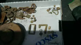 IMAG0230.webp