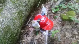 IMG_20150605_154308111.webp