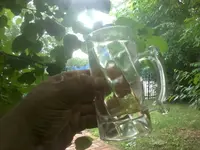 150715_017.webp