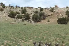 DSCF1786.webp