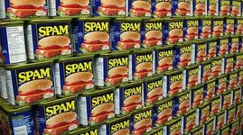 spam.webp