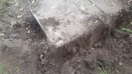 20150524_175422.webp
