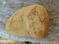 DSCN2488.webp
