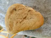 DSCN2489.webp
