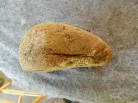 DSCN2490.webp