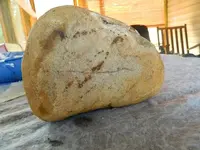 DSCN2497.webp