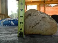 DSCN2498.webp
