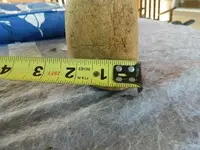 DSCN2500.webp