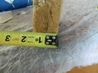 DSCN2501.webp