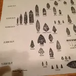 ImageUploadedByTreasureNet.com1435644859.206210.webp ImageUploadedByTreasureNet.com1435644859.206210.webp