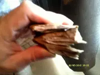 DSCF0048.webp