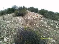 DSCF0942.webp