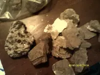 DSCF0049.webp