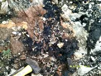 DSCF0953.webp