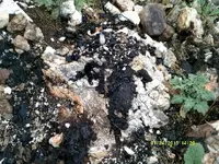 DSCF0954.webp