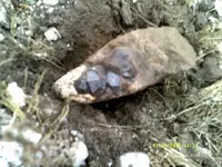 DSCF0957.webp