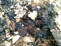 DSCF0958.webp