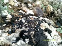 DSCF0959.webp