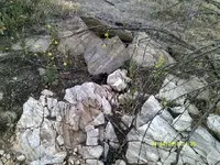 DSCF0026.webp
