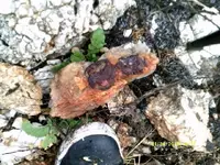 DSCF0960.webp