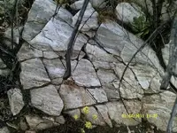 DSCF0027.webp