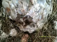 DSCF0974.webp