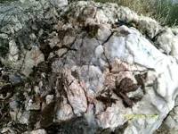 DSCF0984.webp