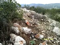 DSCF0996.webp