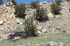 DSCF1967.webp