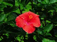 034.webp