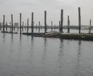 20150708_123134 2.webp