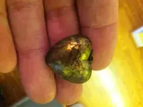 ImageUploadedByTreasureNet.com1434900263.408363.webp