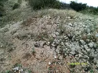 DSCF0925.webp